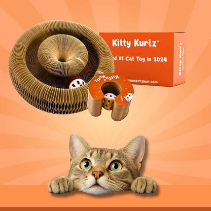 PurrLoop™ Interactive Cat Toy