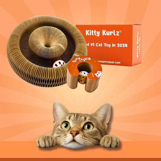 PurrLoop™ Interactive Cat Toy