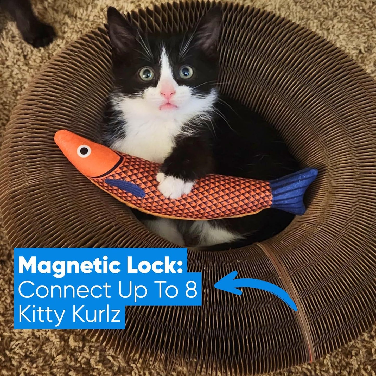 PurrLoop™ Interactive Cat Toy