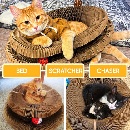PurrLoop™ Interactive Cat Toy